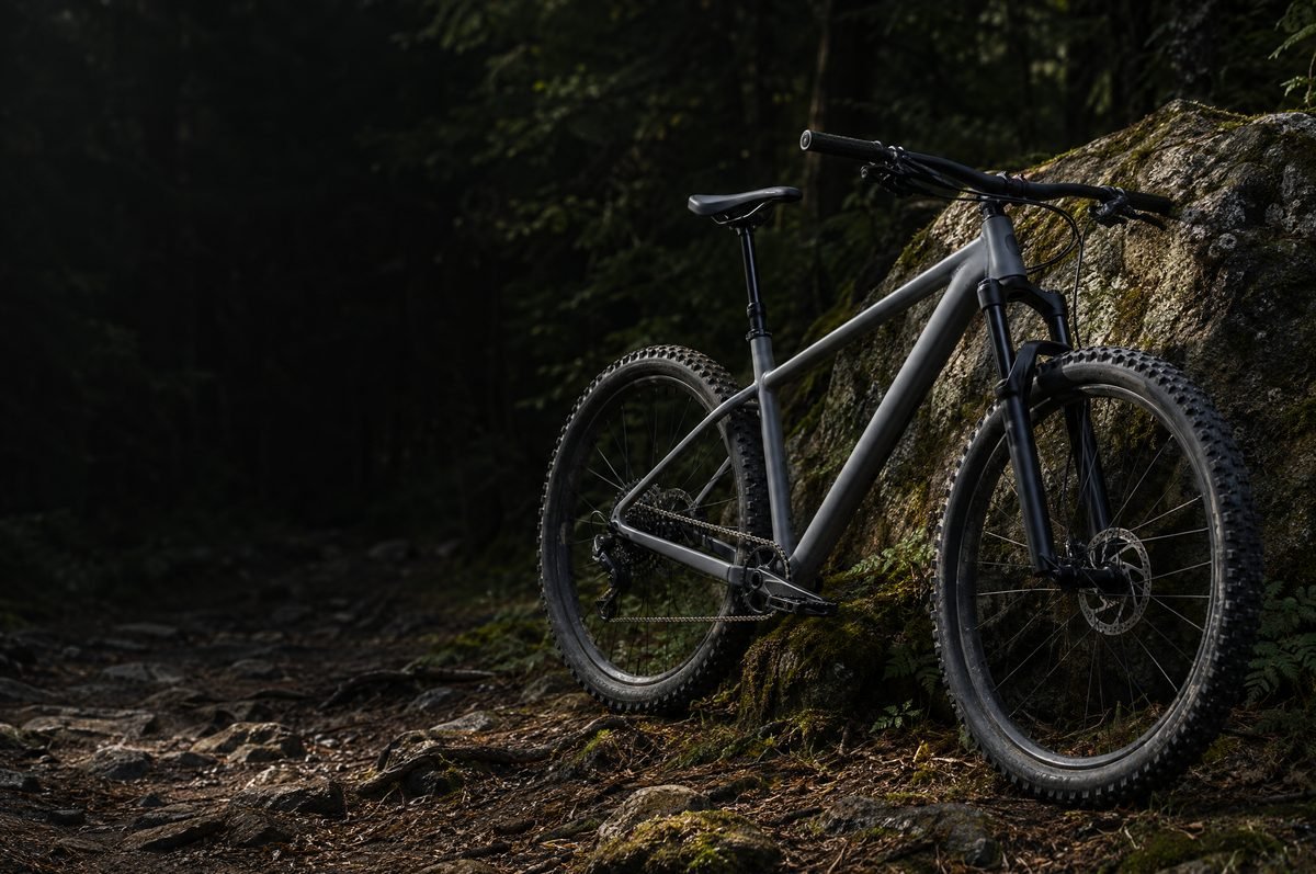 Hardtail-Mountainbike an einem Felsen im Wald – Kategorie Fahrräder